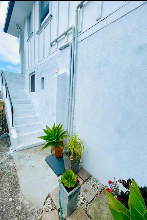 Giggly Nest - Resim 13