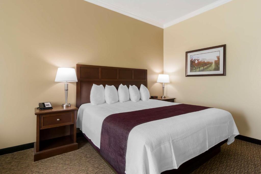 Postel nebo postele na pokoji v ubytování Best Western Plus Grapevine Inn