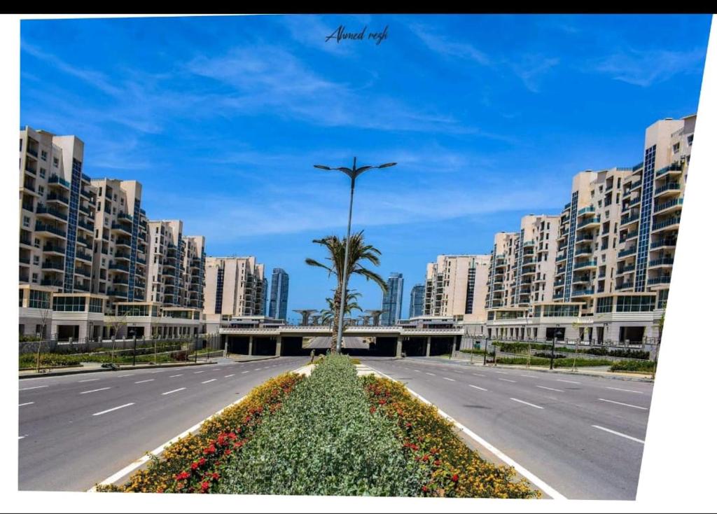 a street with a palm tree in the middle of a city at لؤلؤة داون تاون العلمين in El Alamein