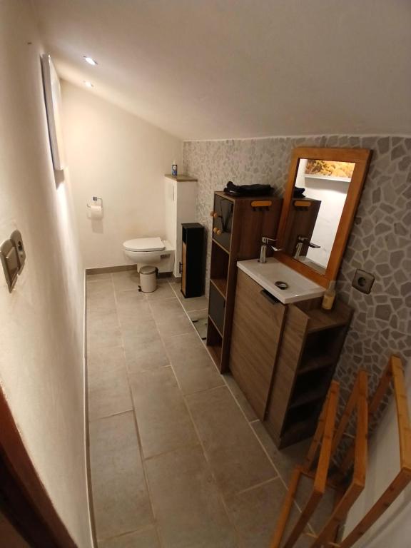une salle de bain avec toilettes, lavabo et miroir dans l'établissement Chez Jeff, à Brizon