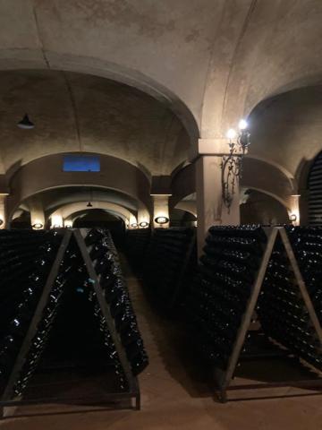 Fotografie z fotogalerie ubytování Franciacorta with love v destinaci Rovato