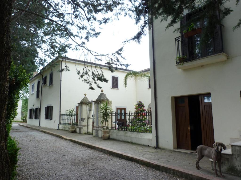 Budova, kde se the country house nachází