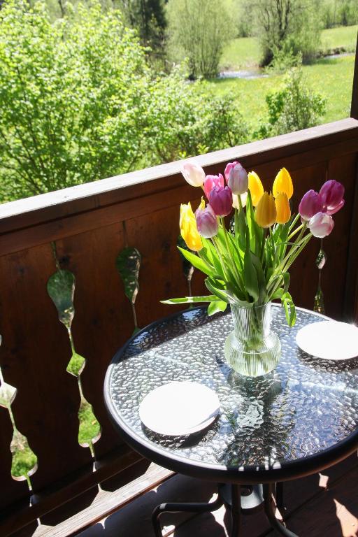 Zahrada ubytování Villa Silvanus