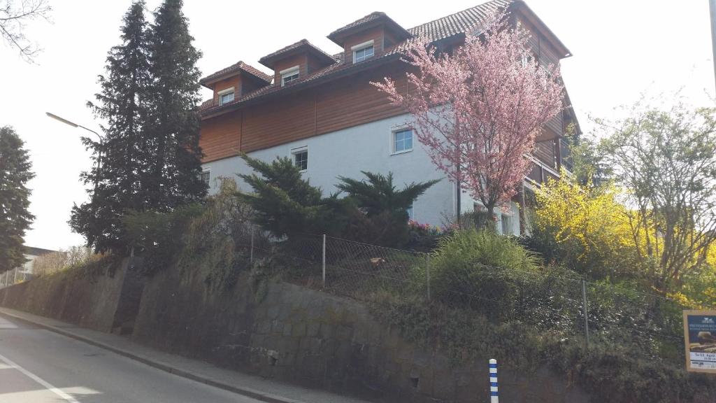 ein Haus an der Seite einer Straße in der Unterkunft Mayerhofer House in Linz