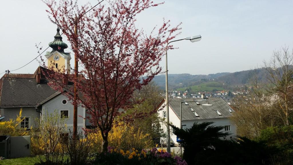 Výhľad na hory alebo výhľad na hory priamo z apartmánu