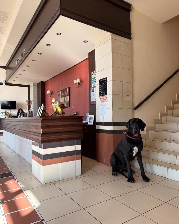 Hotel Aurelia - Resim 10