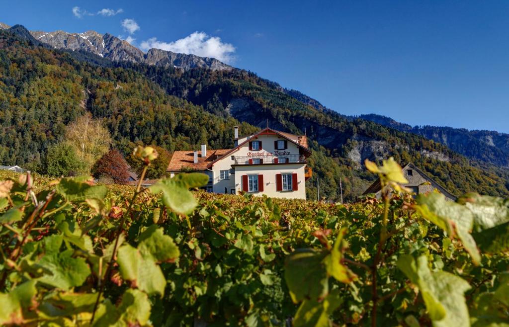 ein Haus auf einem Hügel mit einem Berg in der Unterkunft Gasthof zur Bündte in Jenins