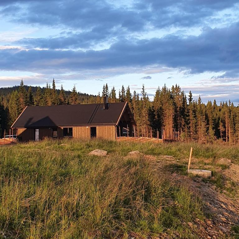 a house in the middle of a field with trees at Cabin Lillehammer, Nordseter, Sjusjøen in Lillehammer
