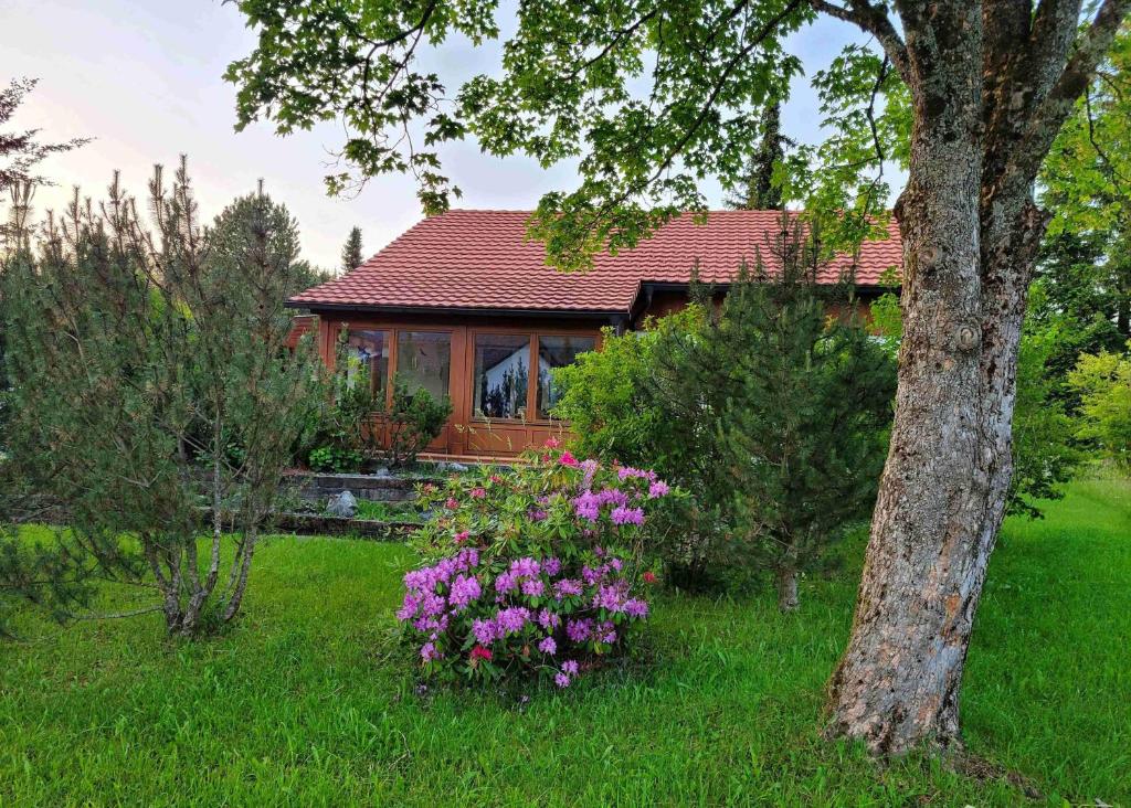 En have udenfor Ferienhaus Rehpfad im Feriendorf Reichenbach 20