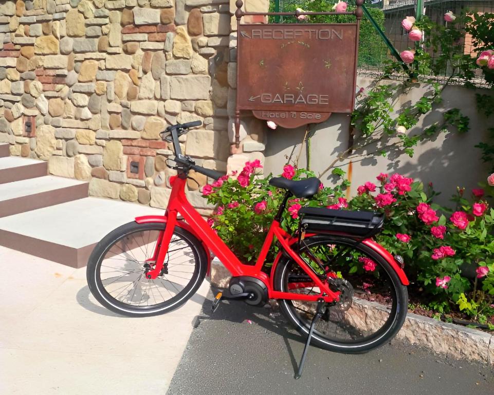 Jízda na kole v ubytování Hotel Al Sole - ENJOY HOLIDAY nebo okolí