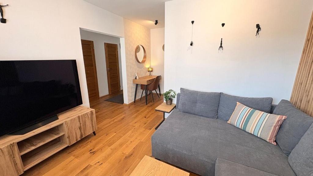 Una sala de estar con un sofá y un televisor de pantalla plana. en Harrachov apartment, en Harrachov