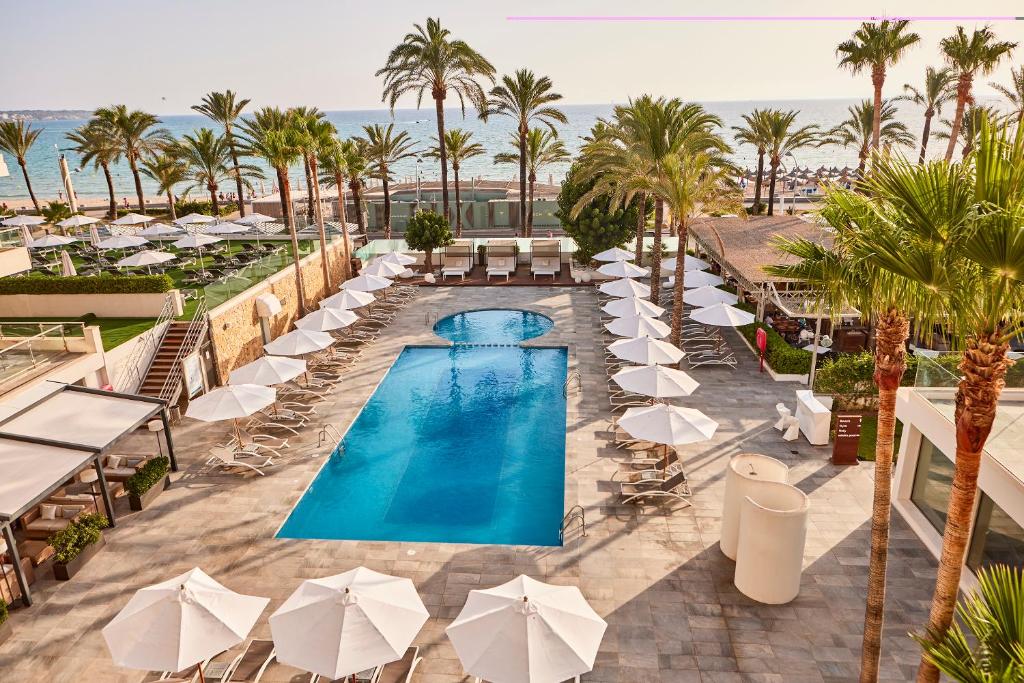 een buitenzwembad met witte parasols en palmbomen bij Hotel Playa Golf Adults Only 4 Sup in Playa de Palma