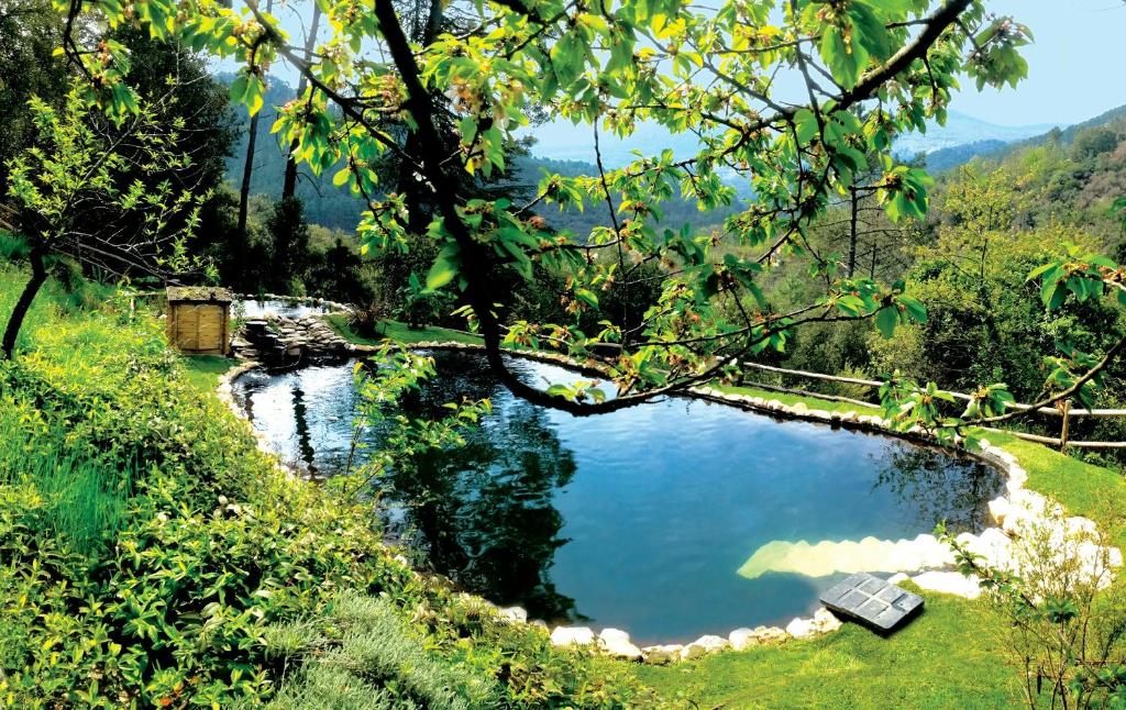 13Th Century Cévennes Farmhouse With Natural Pool