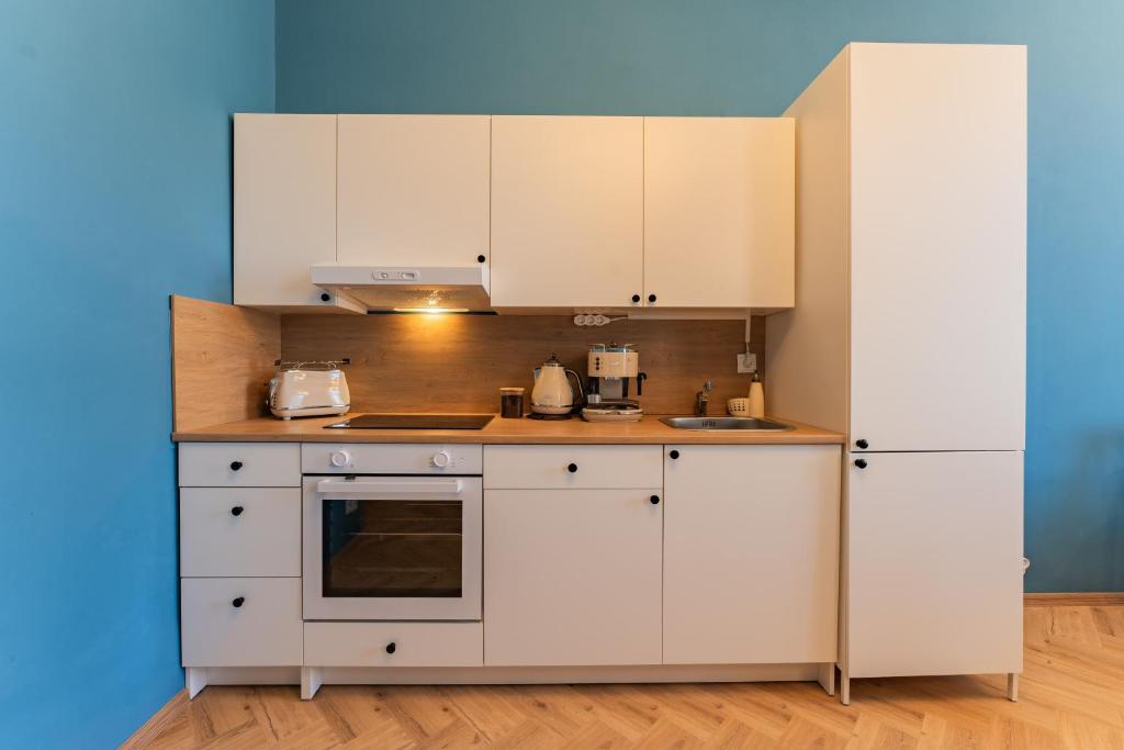 Kuchyň nebo kuchyňský kout v ubytování Resort Červený dvůr