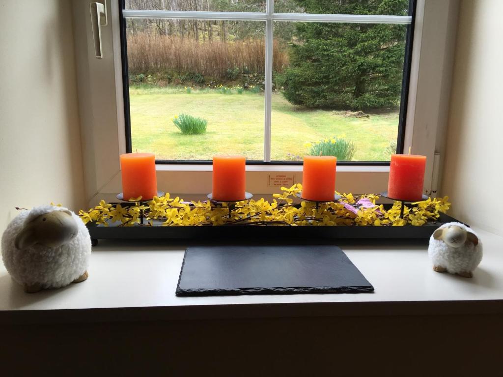 Fotografie z fotogalerie ubytování Ewich House B&B v destinaci Crianlarich