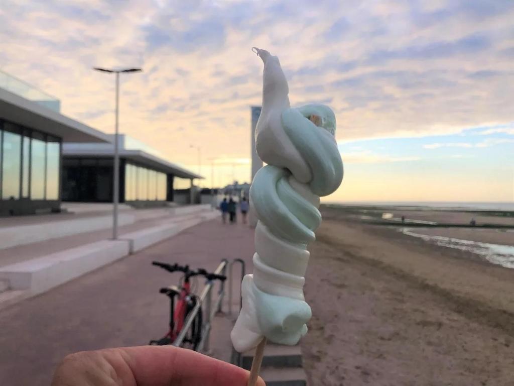 Jízda na kole v ubytování L'appart Lutin du bord de mer nebo okolí