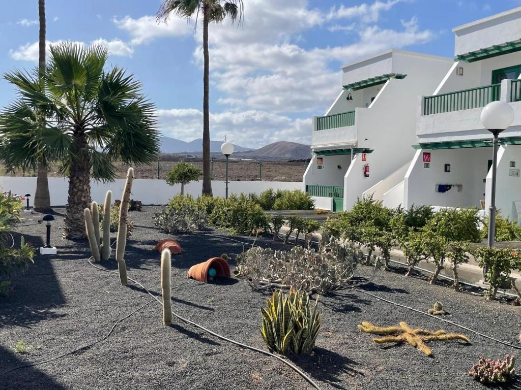 a garden with cacti and plants in front of a building at Sunset&Suite Puerto del Carmen in Tías