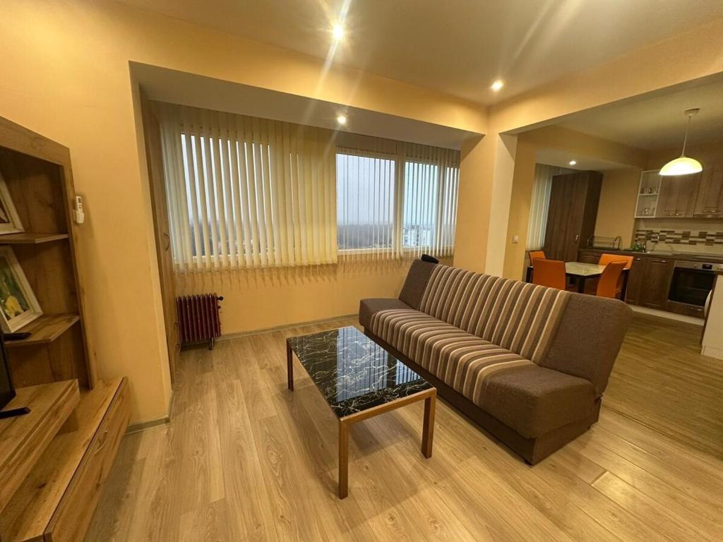 a living room with a couch and a coffee table at Danube View 2 in Vidin