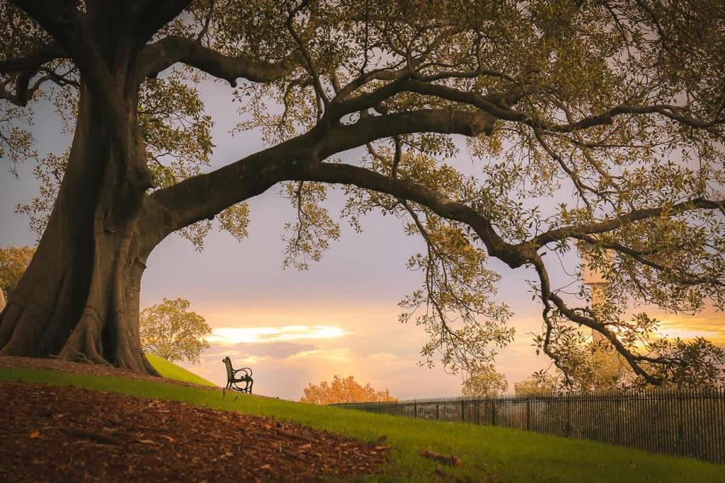 Φυσικό τοπίο κοντά σε αυτή η παραθεριστική κατοικία