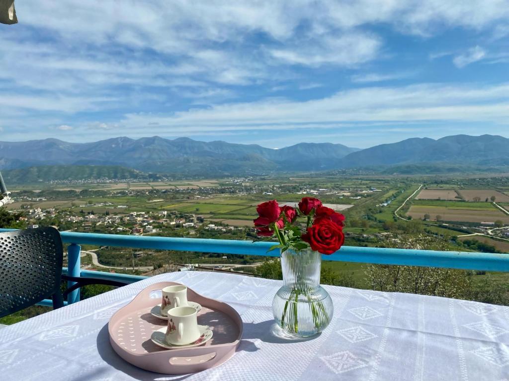 a vase of roses on a table with a view at Xhoni's House in Sarandë