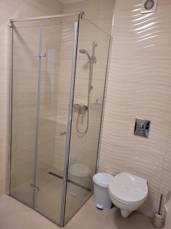 Koupelna v ubytování Aura Residence Apartman