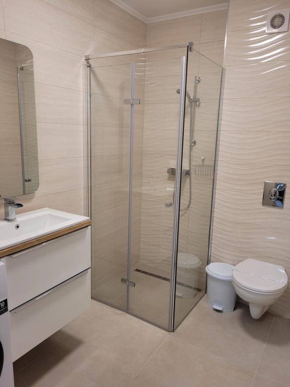 Koupelna v ubytování Aura Residence Apartman
