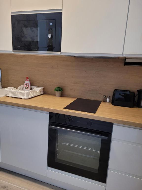 Kuchyň nebo kuchyňský kout v ubytování Aura Residence Apartman