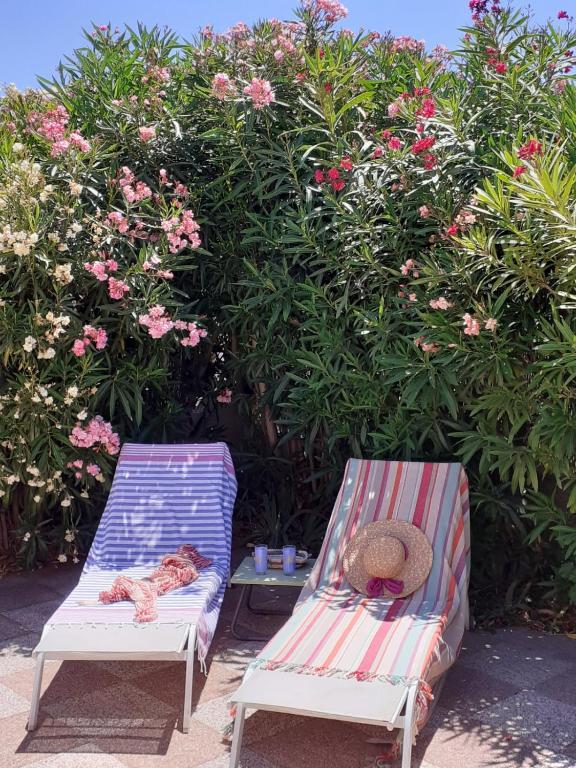 deux chaises de plage avec un chat allongé dessus et un chapeau dans l'établissement Villa proche de la plage, à Port-la-Nouvelle