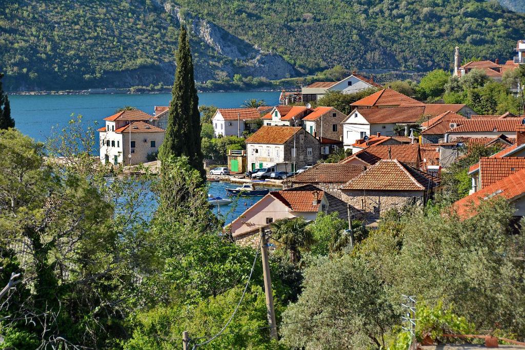 a town on a hill with a river and houses at Apartments Dinko Zifra in Tivat