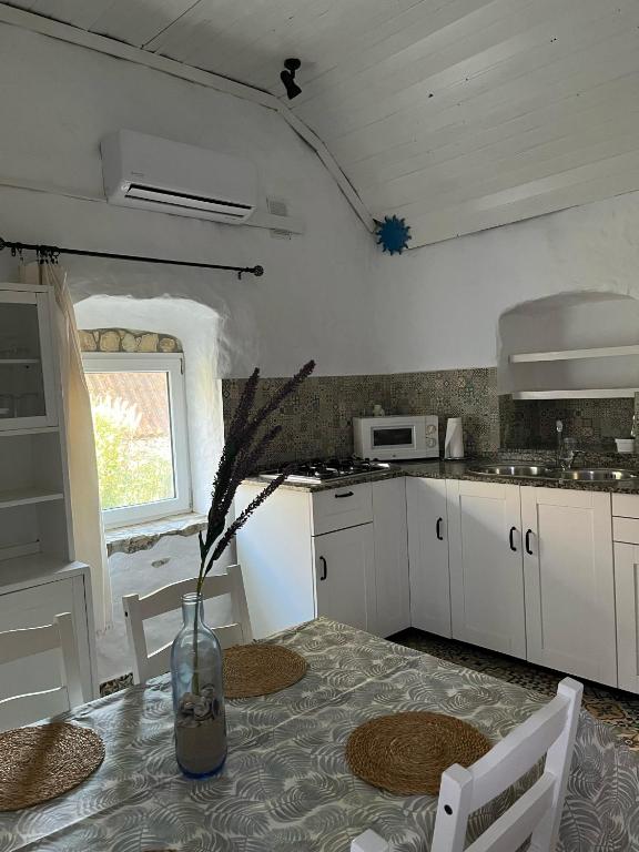 Kuchyň nebo kuchyňský kout v ubytování Finca Esmeralda