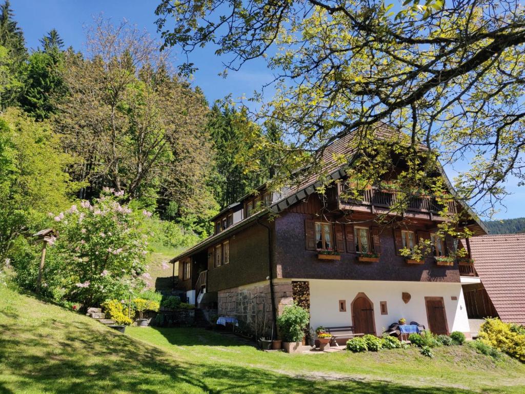 an old house on the side of a hill at Ferienwohnungen Vogt's Libding in Bad Rippoldsau-Schapbach