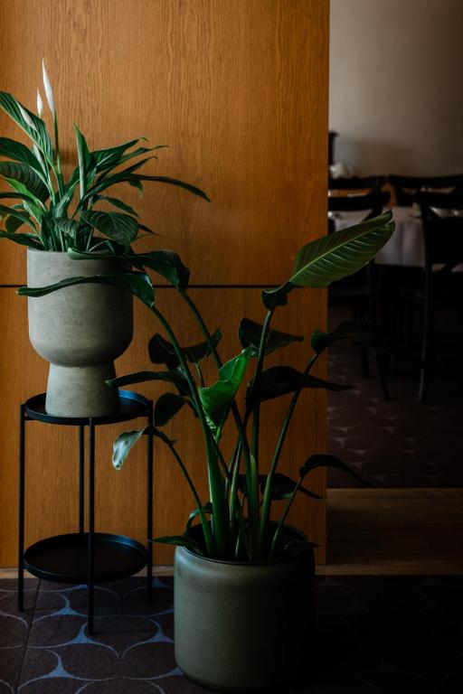 Fotografia z galérie ubytovania Hotel Wodnik v destinácii Giżycko
