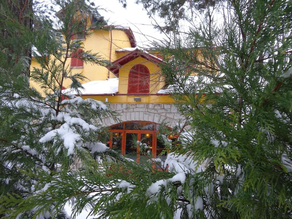 Hotel Rural La Viña - Only Adults en invierno