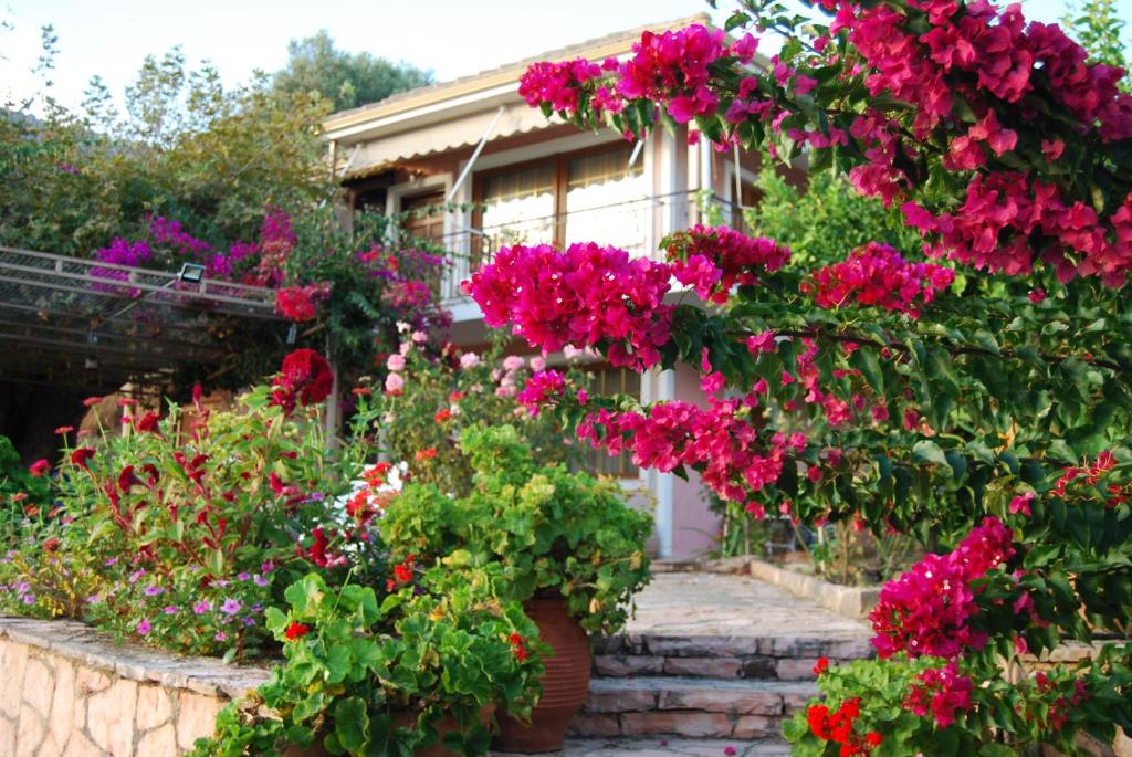 un jardin avec des fleurs roses en face d'une maison dans l'établissement Villa Niki, à Plataria
