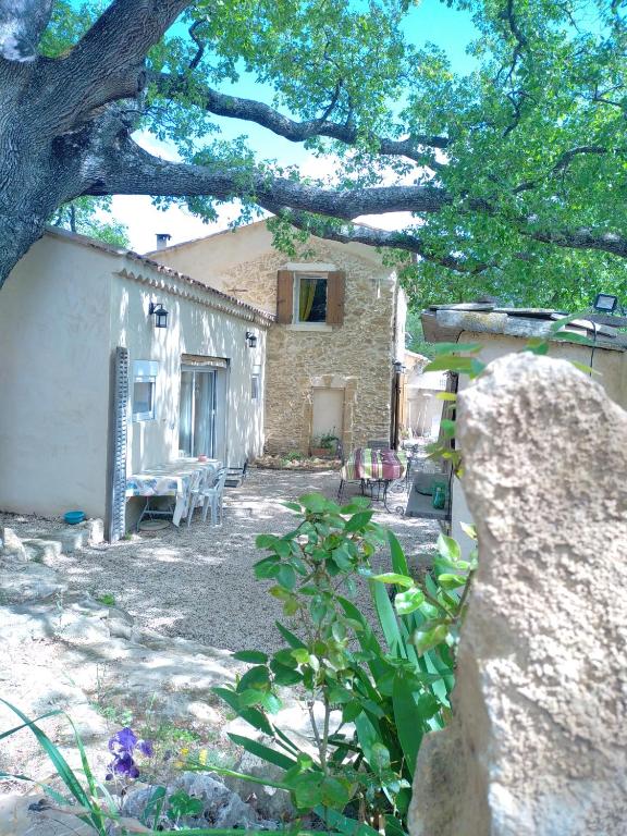 une maison en pierre avec un arbre devant dans l'établissement Sous un chêne bicentenaire, à Lambesc