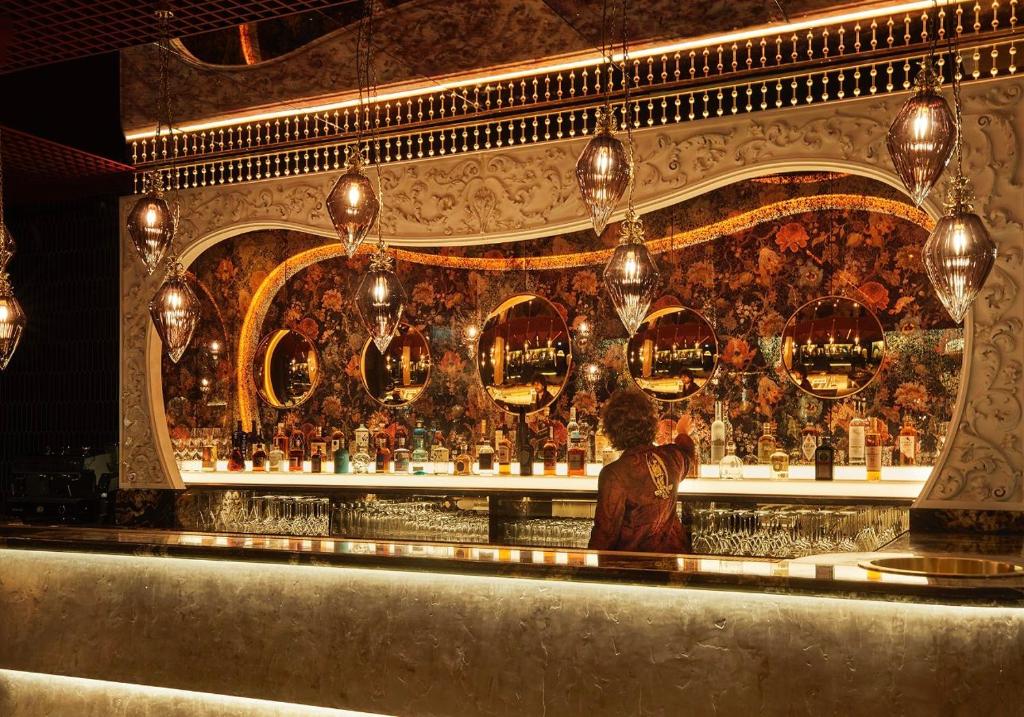 Lounge nebo bar v ubytování Chateau Denmark London