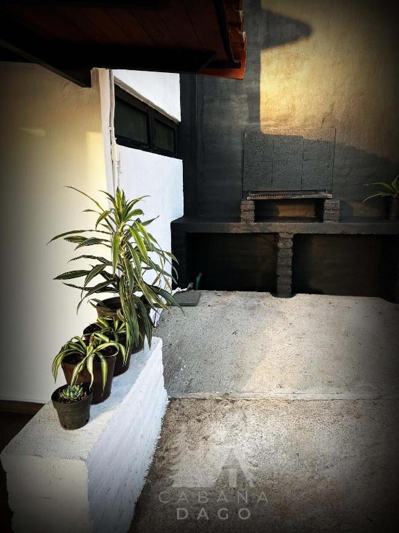 Fotografie z fotogalerie ubytování Cabaña DAGO v destinaci Mazamitla