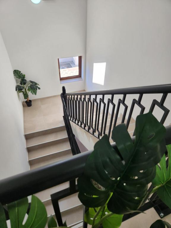 Fotografie z fotogalerie ubytování New Lux v destinaci Čačak