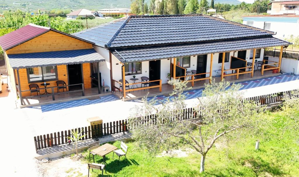 Olive Oasis Studio