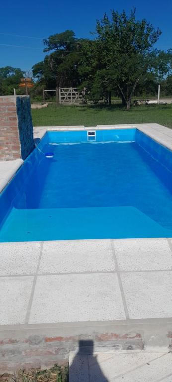 a large blue swimming pool in a yard at Sueño Cumplido in Goya