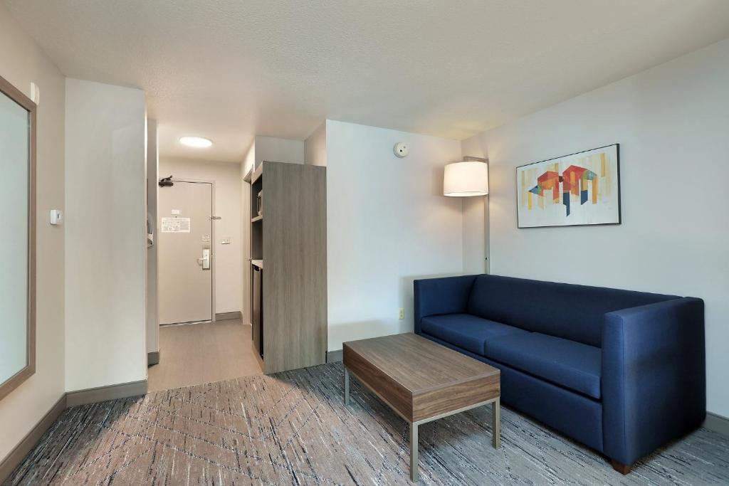 Holiday Inn Express Hotel & Suites Milwaukee-New Berlin by IHG - Suite King Con Sofá Cama
