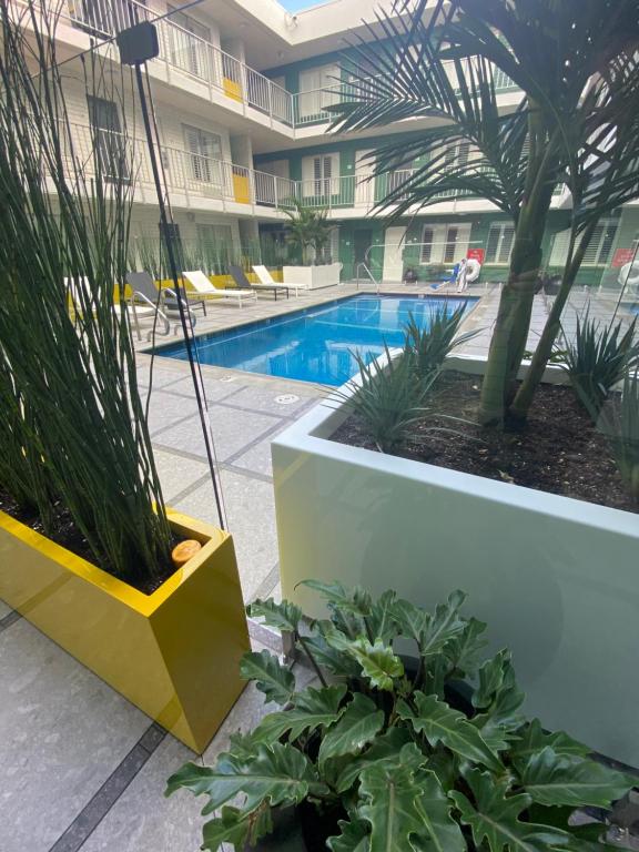 The Adler a Hollywood Hotelの敷地内または近くにあるプール
