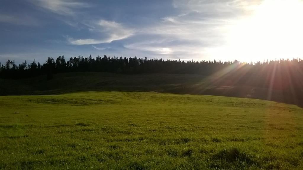 Příroda nedaleko apartmánu