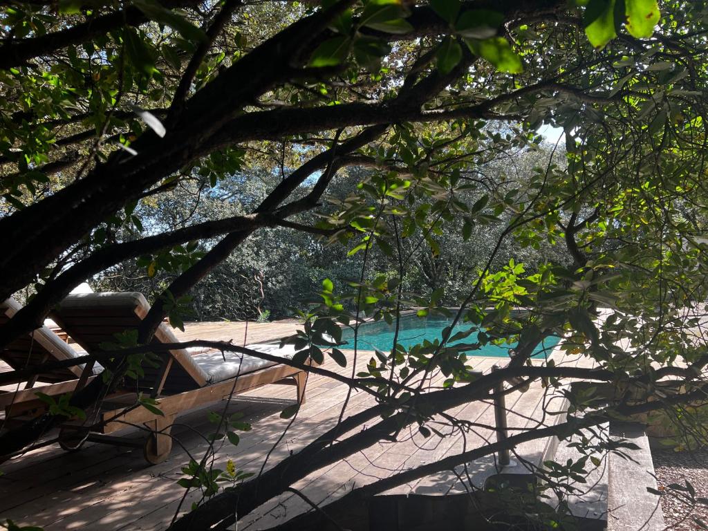 Bazén v ubytování La Canopée Private Ecolodges nebo v jeho okolí