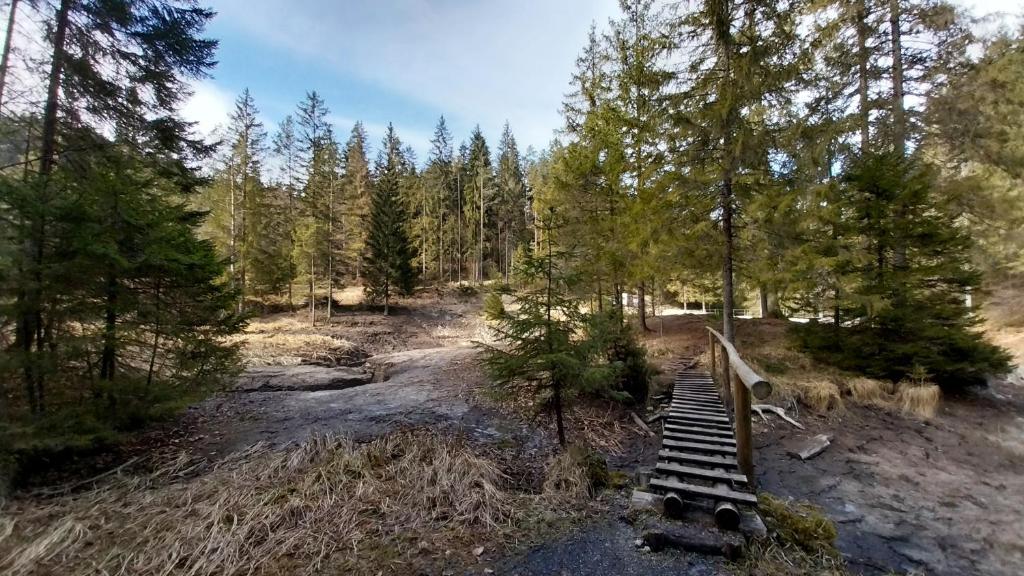 Příroda nedaleko apartmánu