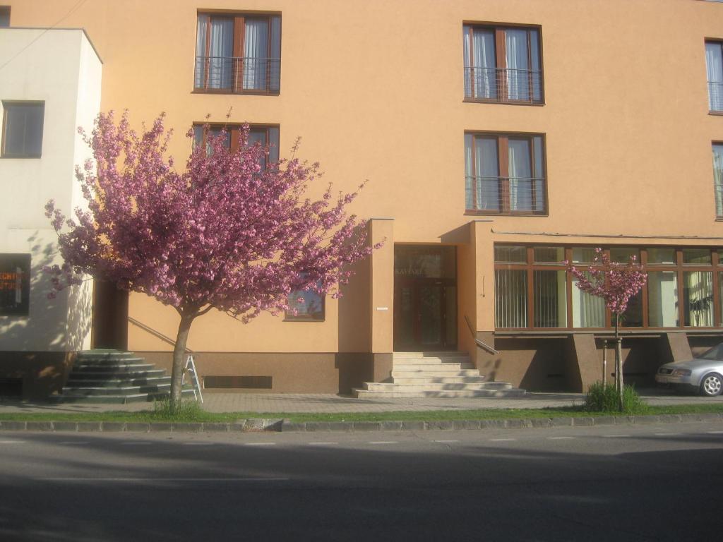 Hotel Oko - Resim 21