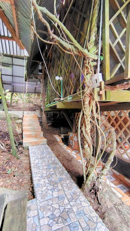 Zahrada ubytování Paraíso Ayahuasca Hotel & Tours