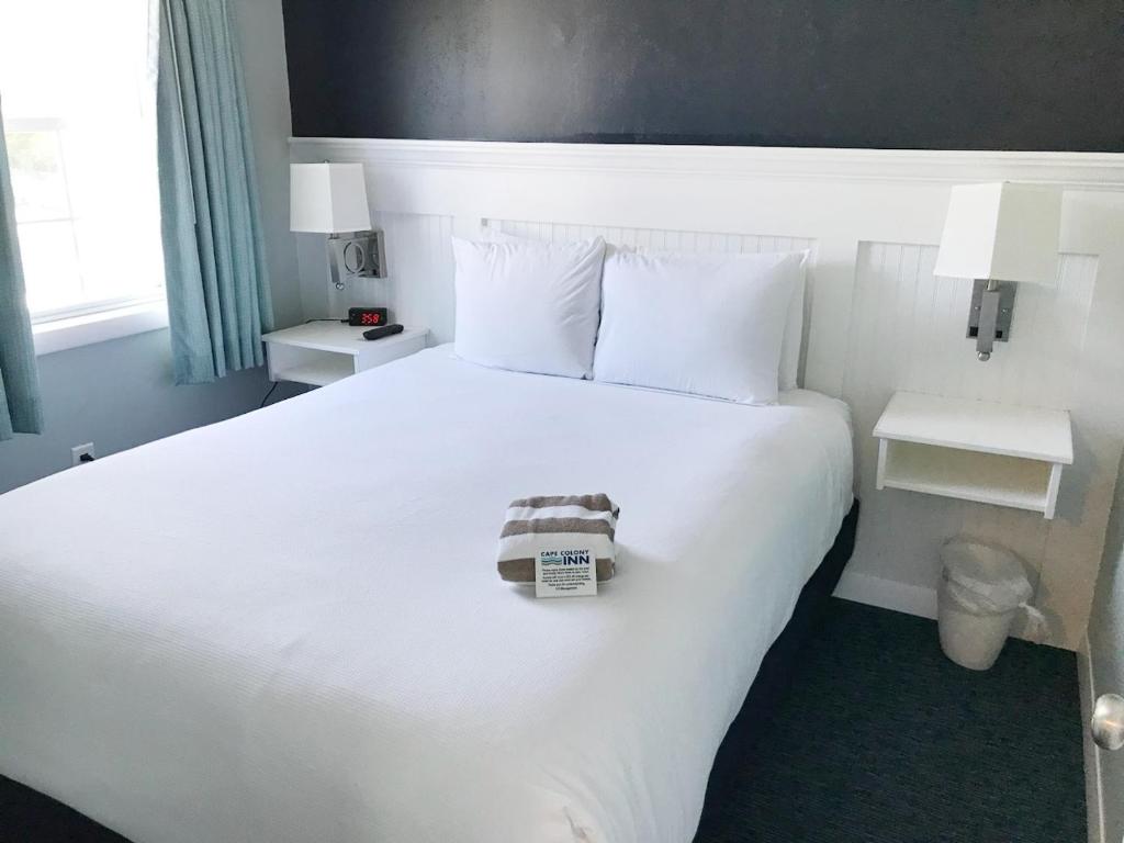 Cape Colony Inn photo
