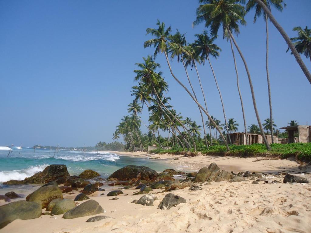 uma praia arenosa com palmeiras e o oceano em Disa Residence em Galle