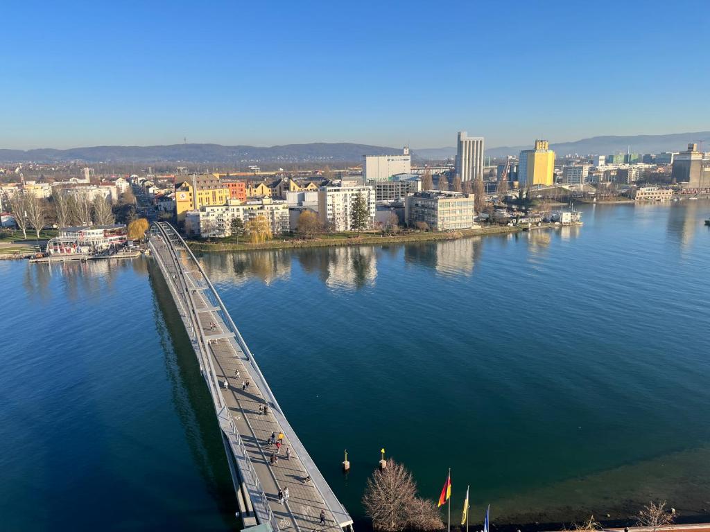 un pont sur une masse d'eau avec une ville dans l'établissement Wohlfühloase 50m über dem Rhein, à Huningue